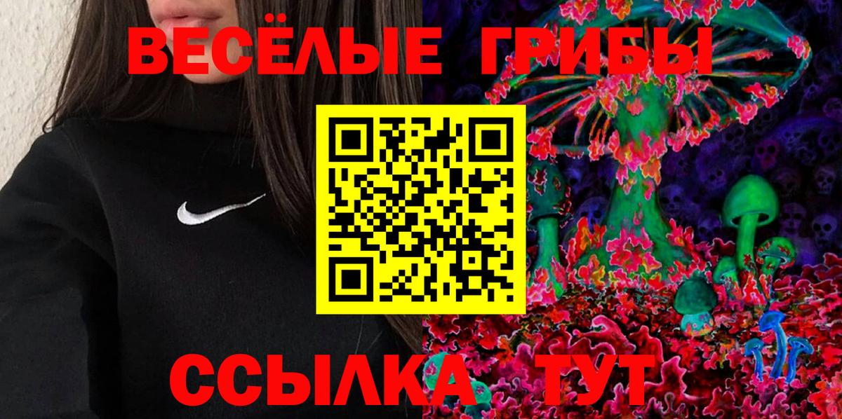 Псилоцибиновые грибы MAGIC MUSHROOMS Дмитров