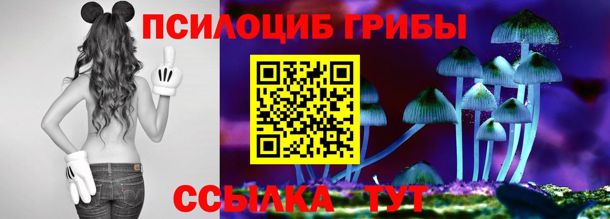 Галлюциногенные грибы Psilocybine cubensis  Вход с VPN  Дмитров  Псилоцибиновые грибы ЛСД 